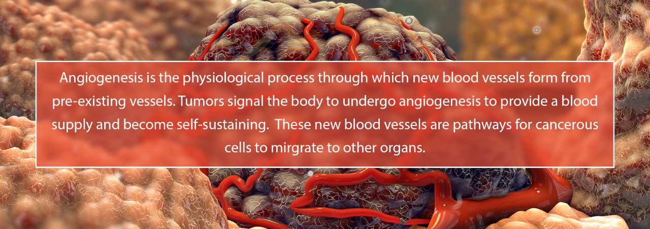 Graphical depiction of angiogenesis