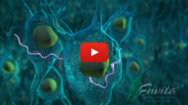 Lyme Disease Treatment - What is Chronic Lyme Disease Complex?
