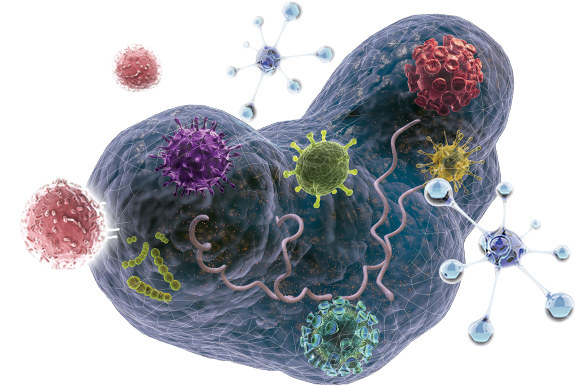 Biofilm Protecting Borrelia and its Co-Infections from the Immune System and Antibiotics Biofilm Protecting Borrelia and its Co-Infections from the Immune System and Antibiotics