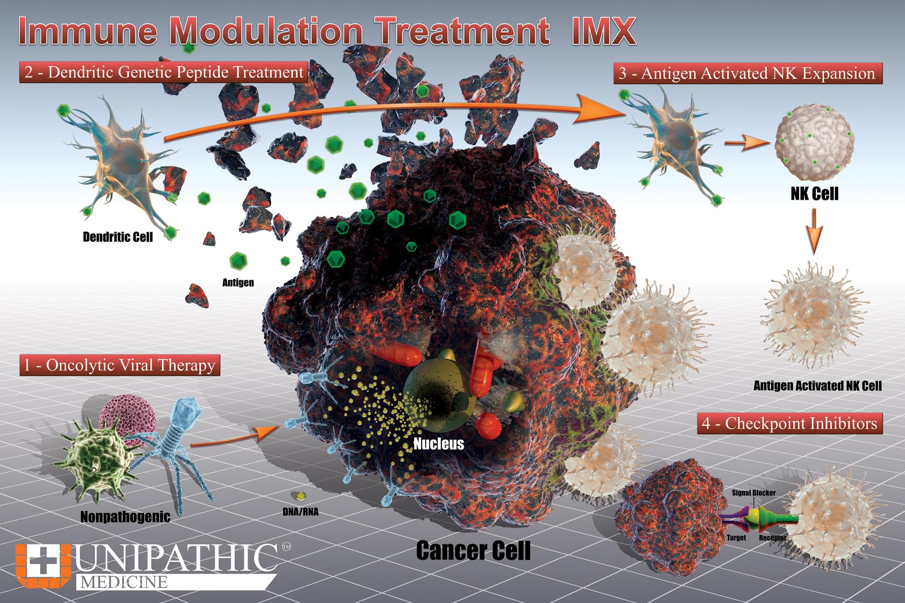 IMX Treatment