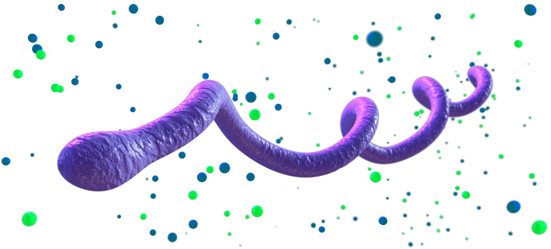 The borrelia spirochete is depicted here giving off various endotoxins, neurotoxins, and biotoxins