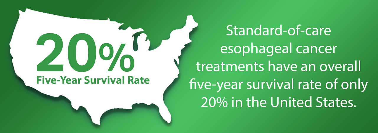 Graphical depiction of the challenges in standard treatment of esophageal cancer