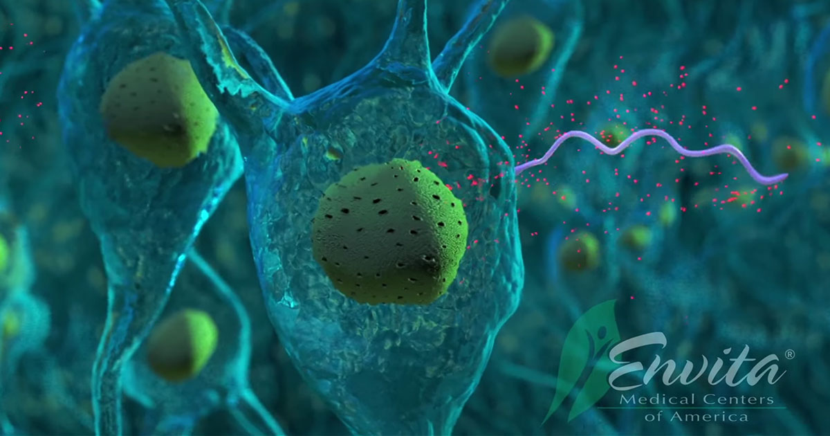 Chronic Lyme Disease Treatment Centers