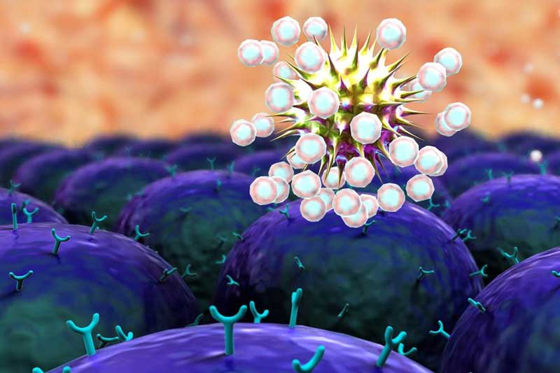 Advanced Immunotherapy Options Are the Future of Cancer Treatment