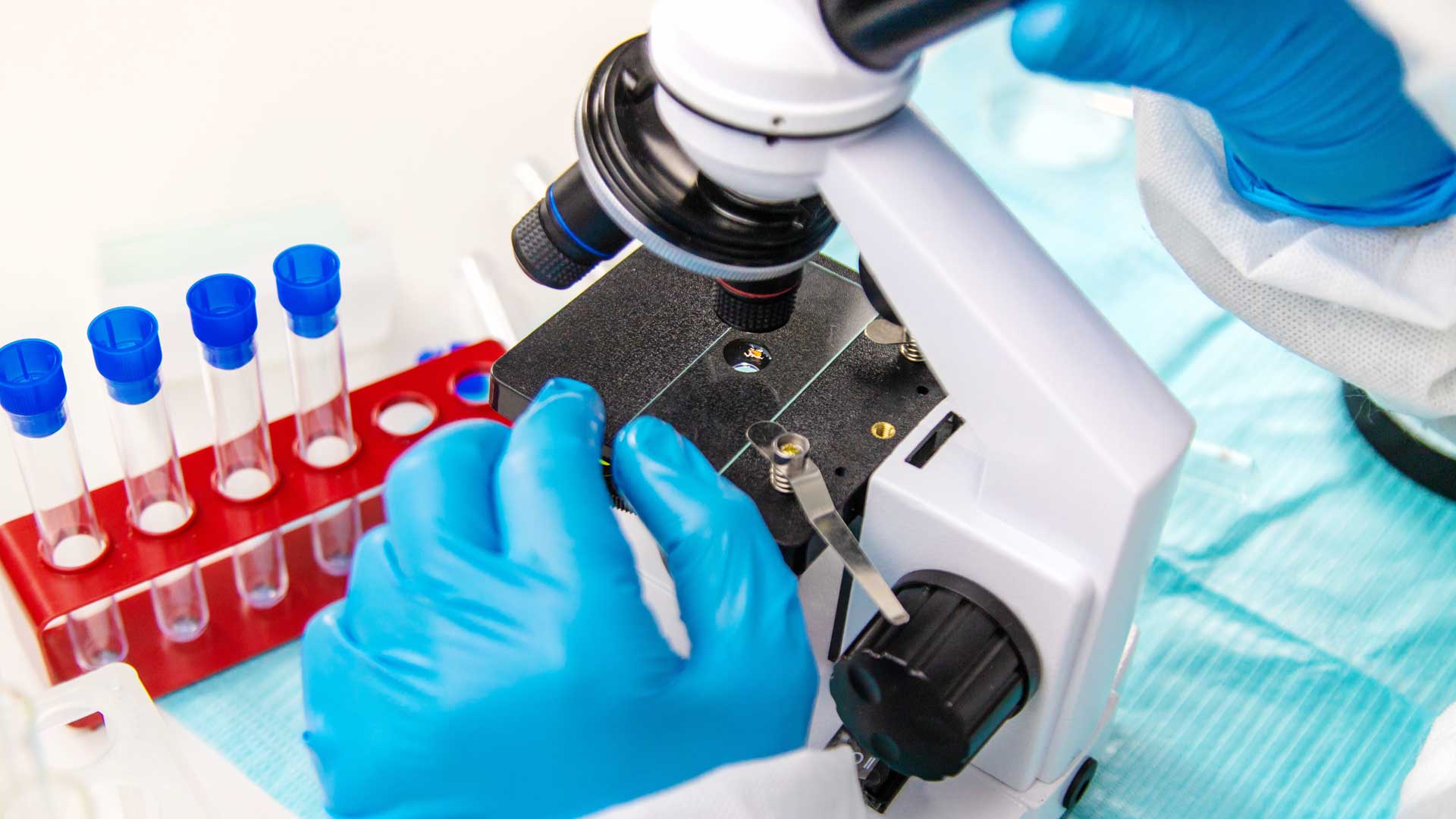 Dr. Daniel Warren of Envita Medical Centers Highlights Latest Lyme Treatments on the 'Tick Boot Camp' Podcast