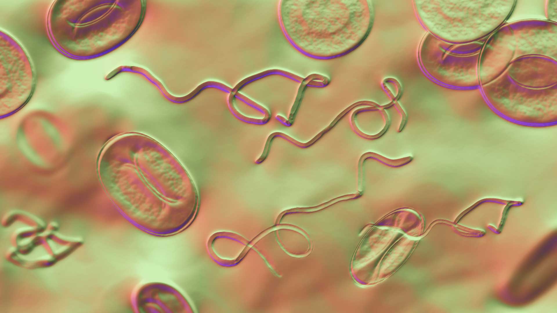 Dr. Daniel Warren of Envita Medical Centers Reveals Critical Barriers to Effective Lyme Disease Treatment at Losing Lyme Los Angeles 2025