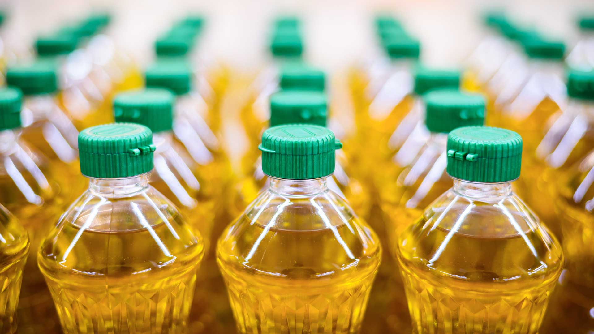 Dr. John Oertle of Envita Medical Centers Clarifies the Connection Between Seed Oils and Breast Cancer on AZFamily