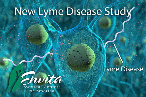 New Envita Study Shows Chronic Lyme Disease "Fools" Immune System, Resistant to Antibiotics