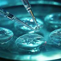 Dr. Daniel Warren of Envita Medical Centers Discusses Breakthrough Stem Cell Treatment on the 'Lyme Time' Podcast