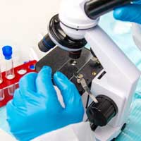 Dr. Daniel Warren of Envita Medical Centers Highlights Latest Lyme Treatments on the 'Tick Boot Camp' Podcast