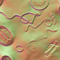 Dr. Daniel Warren of Envita Medical Centers Reveals Critical Barriers to Effective Lyme Disease Treatment at Losing Lyme Los Angeles 2025