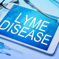 Envita Patient and Doctor Highlight the Challenges of Chronic Lyme Disease on Fox News Podcasts