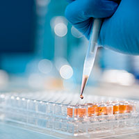 Raising the Bar on Cancer Treatment