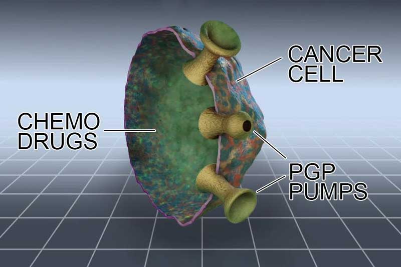 Multi-Drug Resistance and Chemotherapy; Overcoming Standard Cancer Treatment Failures