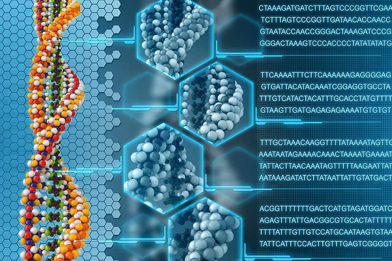 What is Genetically Targeted Fractionated Chemotherapy?